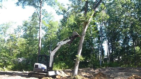 mini excavator tree work|mini excavator push over tree.